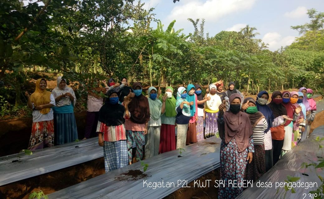 KWT Sri Rejeki Tetap Produktif di Tengah Pandemi