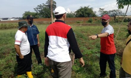 Atasi Sampah, Pemkab Purbalingga Bangun Tempat Pengolahan Sampah Terpadu