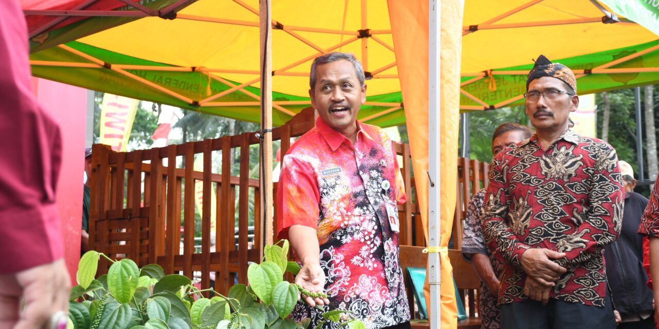 Petani Kejobong Dikenalkan Pertanian Berbasis Teknologi Irigasi Tetes dengan IoT