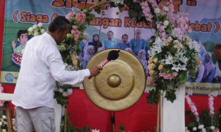 Desa Kedungjati Luncurkan Program Desa Aman Pangan dan Gelar Festival UMKM
