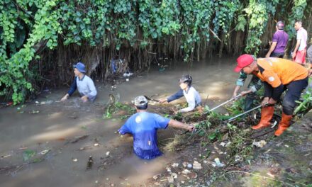 Jaga Kelestarian Lingkungan, Purbalingga Gelar Aksi Nyata Tanam Ribuan Pohon serta Bersih-Bersih Sumber Air dan Sungai