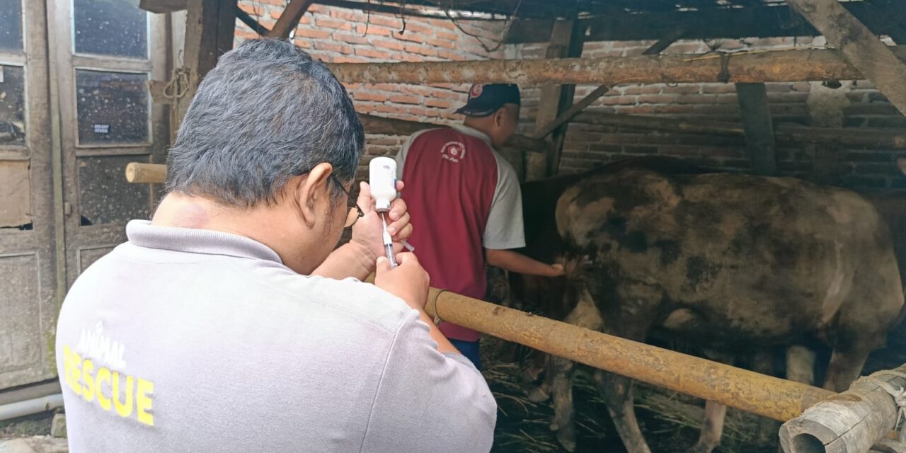 Jelang Idul Adha, Pemkab Purbalingga Pastikan Kesehatan Hewan Qurban