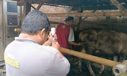 Jelang Idul Adha, Pemkab Purbalingga Pastikan Kesehatan Hewan Qurban