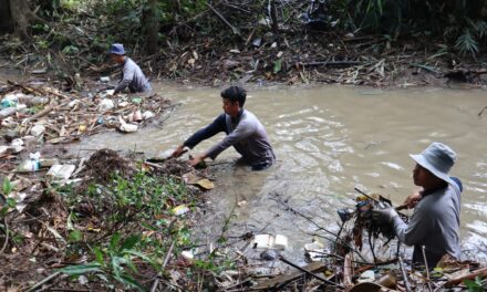 Hari Lingkungan Hidup Sedunia, DLH Purbalingga Bersihkan 1090 Kg Sampah Plastik