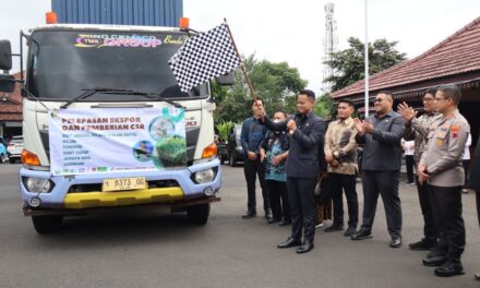 Purbalingga Ekspor 25 Ton Gula Kelapa Organik ke Amerika Serikat