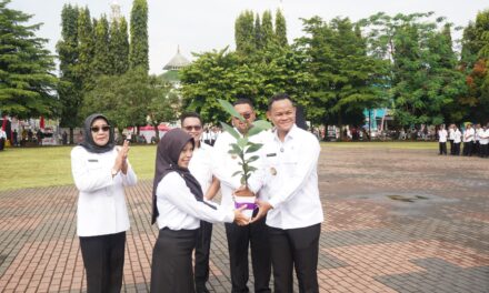 PPPK Paruh Waktu Purbalingga Sumbangkan 2.800 Bibit Pohon sebagai Ungkapan Syukur dan Pelestarian Alam